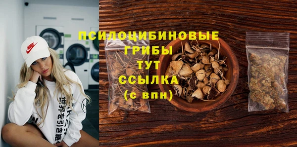 крисы Лабытнанги