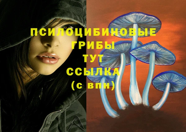 крисы Лабытнанги
