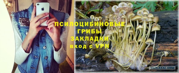 мяу мяу мука Лагань