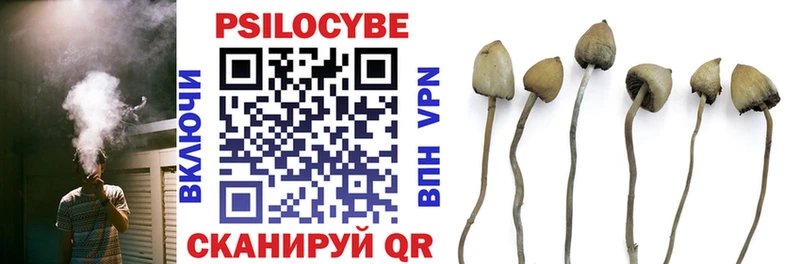Псилоцибиновые грибы Cubensis  Заволжск 